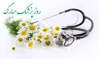 وزیر بهداشت در مراسم گرامیداشت جایگاه ارزشمند پزشکان